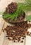 Cedar nuts with pine cones