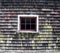 Cedar shingle barn wall with six pane window