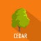 Cedar tree icon, flat style