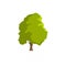 Cedar tree icon, flat style