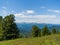 Cedars grow on the slopes of the Siberian Sayan mountains. Wildlife panorama