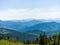 Cedars grow on the slopes of the Siberian Sayan mountains. Wildlife panorama