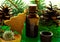 Cedor oil fir cone spa colorful isolated seashell treasure