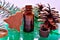 Cedor oil fir cone spa colorful isolated seashell treasure