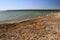 Ceduna jetty