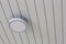 Ceiling access point wifi. wireless router for network,hang on the ceiling. world wide network technology.