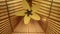 Ceiling fan on wooden roof. Electric ceiling fan rotating slowly and air circulation. Ceiling fan cooling tropical