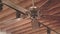 Ceiling fan on wooden roof. Wooden roof background. Cooling fan