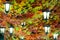 ceiling lights are surrounded by colorful leaves decorated in the building