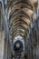 Ceiling, Medieval Gothic architecture inside a cathedral in Spain. Stones and beautiful ashlars forming a dome