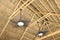 Ceiling rafters