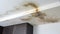 Ceiling Stain and Water-Damaged Roof due to Leakage