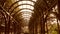 Ceiling of a wooden tunnel archway.