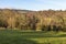 Ceiriog Valley View