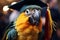 Celebrate knowledge a parrot proudly graduates with vibrant plumage
