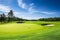 Celebrate the Radiant Beauty of a Well-Maintained Golf Course under a Dreamy Sky