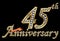 Celebrating 45th anniversary golden sign with diamonds, vector