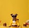 Celebrating Happy Dog Day. Dogs Celebrating with drink, glasses,cake,Yellow Background and copy space . Ai generated