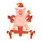 Celebration pig, piglet symbol of new year and Christmas