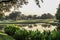 Celebration`s golf courses in Florida