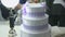Celebratory cake for wedding