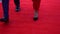 Celebrities are walking on the red carpet, close up