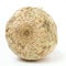 Celeriac