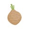 Celeriac, celery root vector illustration icon