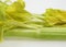 Celery, apium graveolens dulce against White Background