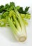 Celery, apium graveolens dulce against White Background