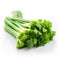 celery bundle