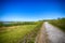 Celery Fields Hills With A Clear Blue Sky