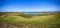 Celery Fields Panorama With A Clear Blue Sky