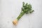 Celery. Fresh celery with top on white concrete board