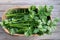 Celery - freshly harvested organic vegetable crop in a garden basket