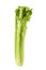 Celery isolated