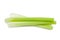 celery isolated pictures