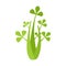 Celery leaves icon flat isolated vector