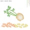 Celery Root with Vitamin C, B6 and Minerals