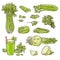 Celery stalks, leaves and root set with smoothie drink