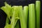 Celery Sticks with Leaves on Black Slate