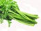 Celery vegetable for salad