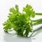 Celery with Water Droplets