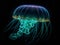 The Celestial Dance of the Jellyfish in Deep Sea