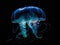 The Celestial Dance of the Jellyfish in Deep Sea