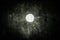 Celestial marvel: full moon in monochrome night sky, revealing cosmic beauty