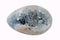 Celestine Egg , Natural Geode sky-blue