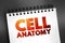 Cell anatomy - consists of three parts: the cell membrane, the nucleus, and, between the two, the cytoplasm, text on notepad,