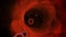 Cell of covid-19 virus or coronavirus 2019 medical 3d rendering background looped
