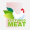 cell cultured chicken meat artificial lab grown meat production concept